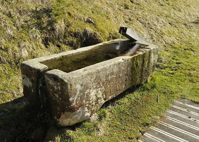 Maison Forestiere De Schmalick Chata Ban-sur-Meurthe-Clefcy